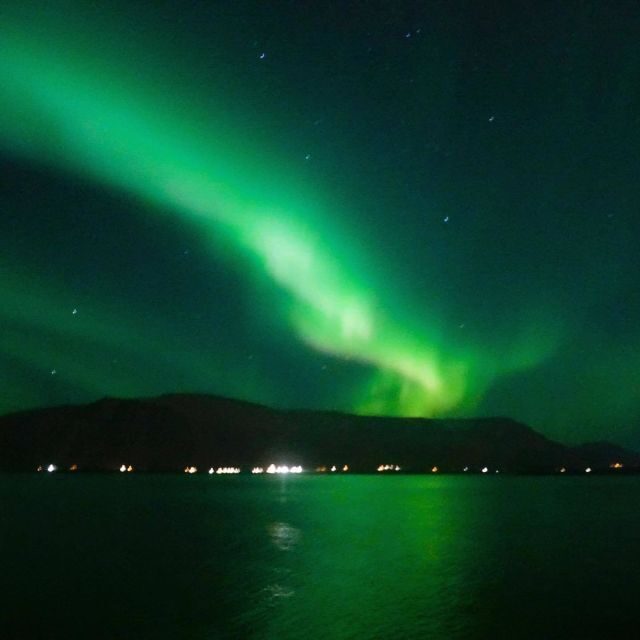 From Reykjavik: Northern Lights Boat Cruise - Who This Cruise Fits Best (And Who Might Want a Different Option)