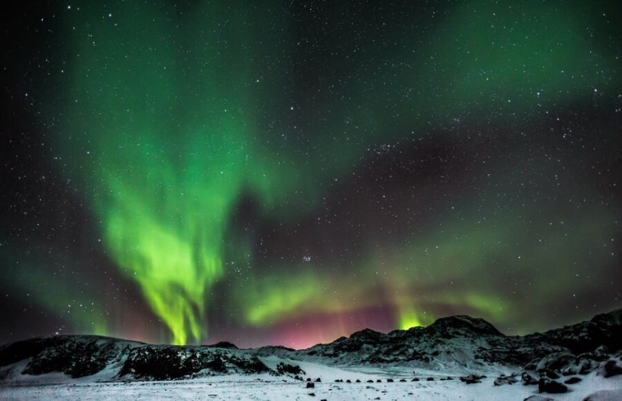 From Reykjavik: Northern Lights Chase with Expert Guide - Guides make or break the hunt: the human touch behind the lights
