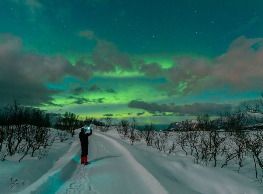 From Reykjavik: Northern Lights Chase with Expert Guide - Value check: is about $73 a smart buy?
