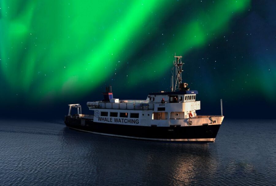 From Reykjavik: Northern Lights Sightseeing Cruise - Key Things That Make This Cruise Worth Your Time