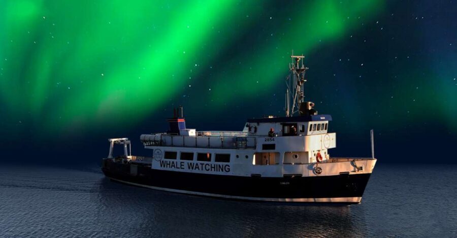 From Reykjavik: Northern Lights Sightseeing Cruise - From Old Harbour to Quieter Water: How the Night Gets Dark