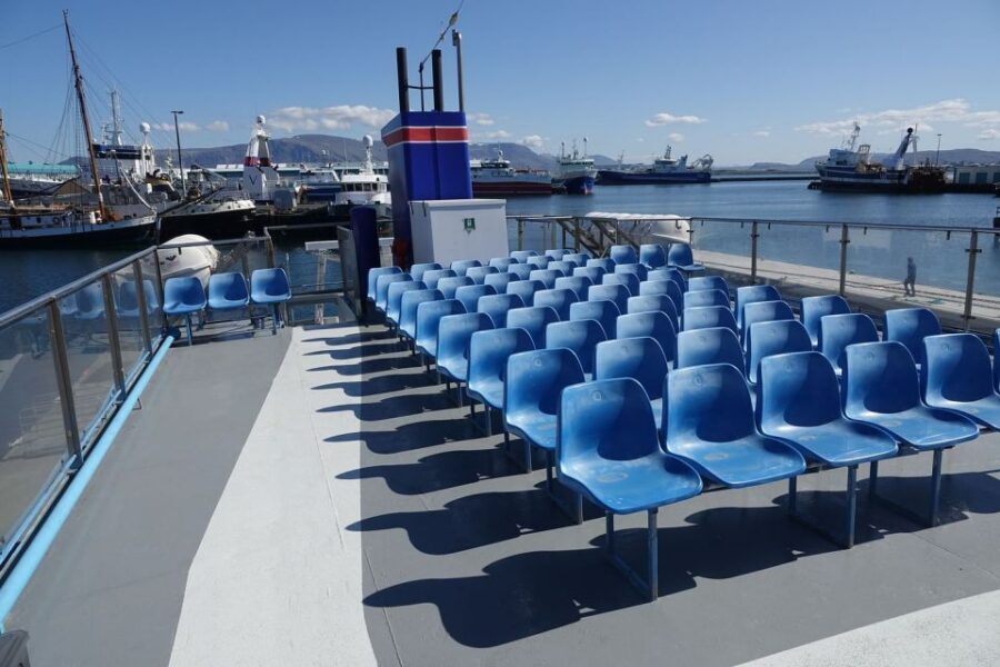 From Reykjavik: Northern Lights Sightseeing Cruise - Price and Value: Why $88 for 2 Hours Can Make Sense