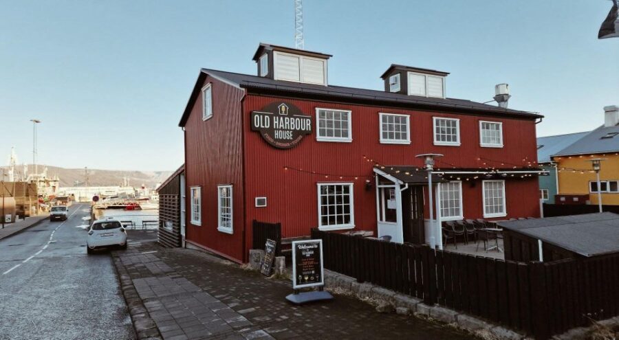 From Reykjavik: Northern Lights Sightseeing Cruise - Who This Cruise Suits Best (and Who Might Want Another Option)