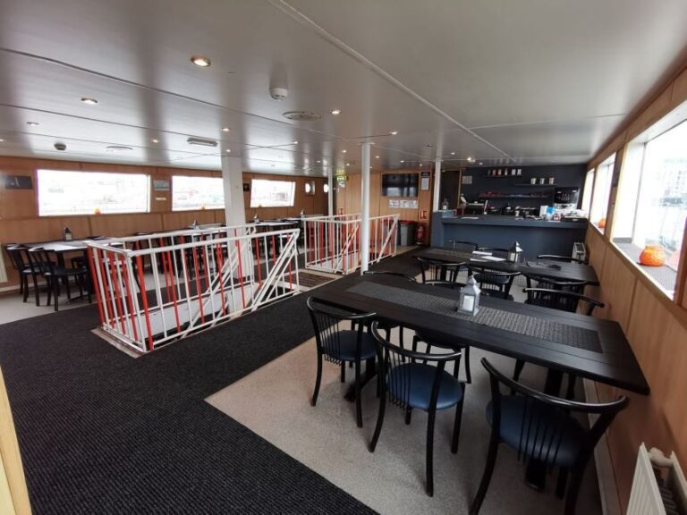 From Reykjavik: Northern Lights Sightseeing Cruise