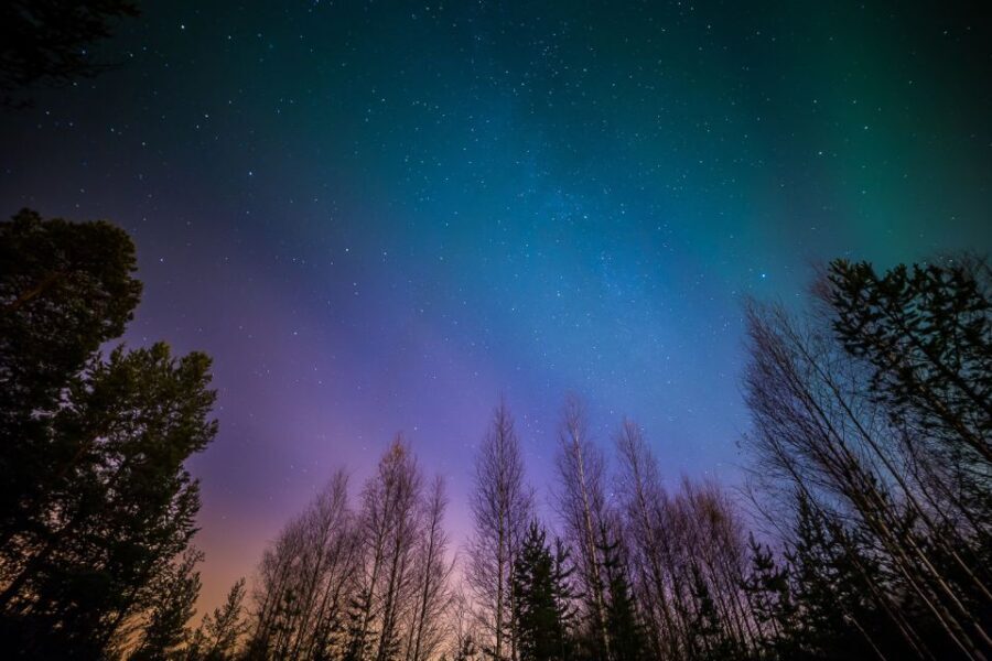 From Reykjavik: Northern Lights Tour - Cold Weather Reality: What to Wear and Why It Matters