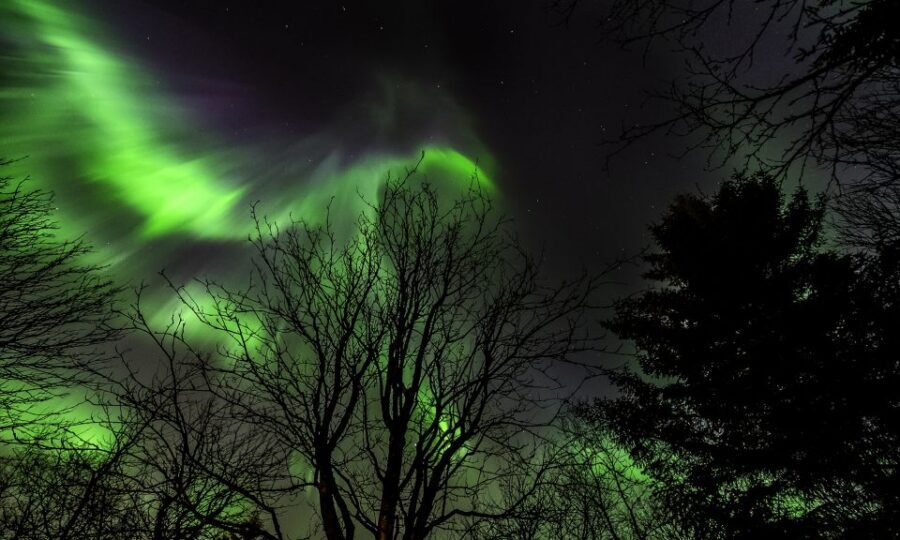 From Reykjavik: Northern Lights Tour with Lifetime Guarantee - Key things to know before you book
