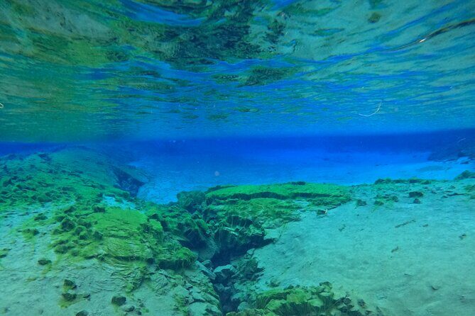 From Reykjavik- Silfra Snorkeling transfer included - Gear and comfort: how the drysuit changes everything