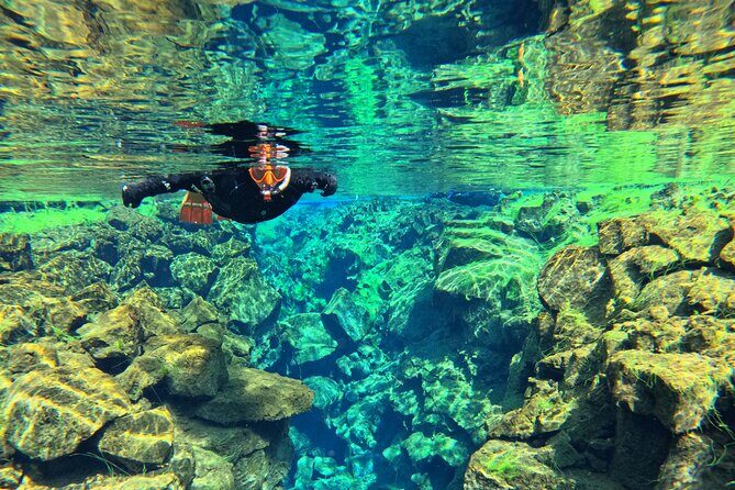 From Reykjavik- Silfra Snorkeling transfer included - In the water: between plates, blue light, and slow motion looking