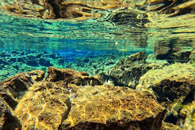 From Reykjavik- Silfra Snorkeling transfer included - The guide experience: what strong instruction looks like
