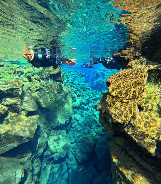 From Reykjavik: Silfra Snorkeling with Free Photos - Thingvellir and Silfra: snorkeling between continents (yes, really)