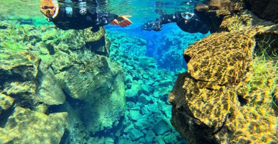 From Reykjavik: Silfra Snorkeling with Free Photos - Should you book Silfra snorkeling with free photos?