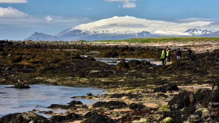From Reykjavik: Snaefellsnes National Park - Small Group - What you’re paying $170 for: value in guide time and fewer logistics headaches