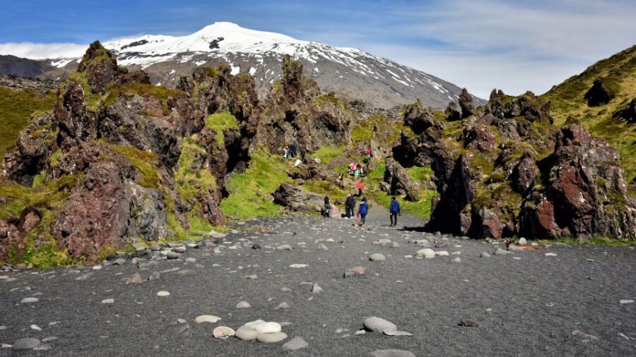 From Reykjavik: Snaefellsnes National Park - Small Group - Arnarstapi and Hellnar: lunch by the sea and real cliff-bird energy