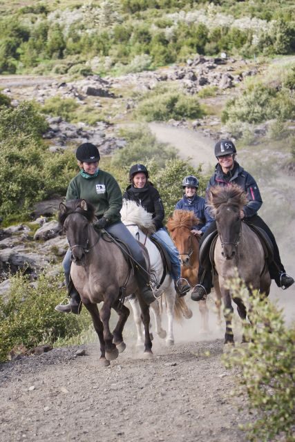 From Reykjavík: Viking Horseback Tour in Hafnarfjörður - Pick-up points in Reykjavík: simple, but choose your stop carefully