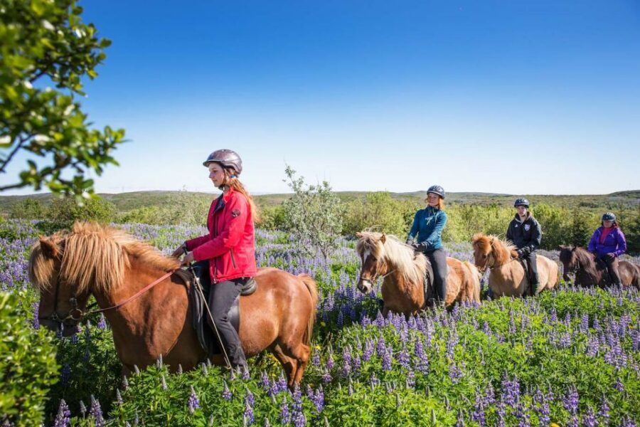 From Reykjavík: Viking Horseback Tour in Hafnarfjörður - Who this is best for (and who should choose a different ride)