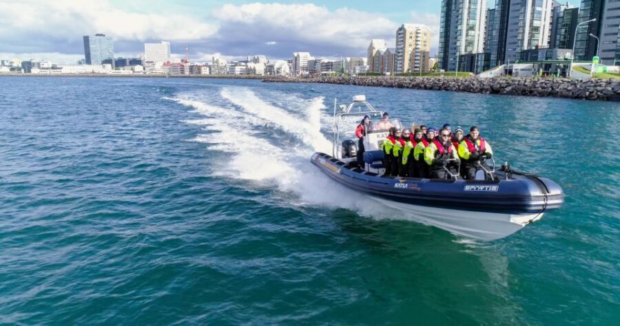 From Reykjavik: Whale Watching Tour by Speedboat - Key highlights you’ll feel right away