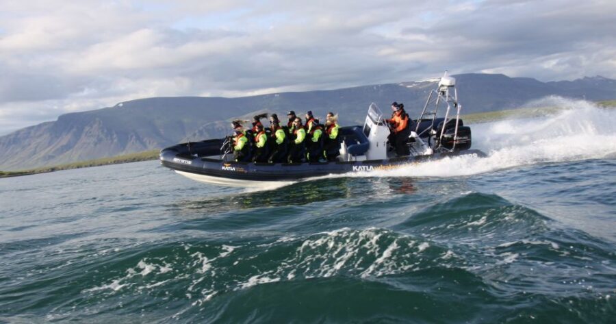 From Reykjavik: Whale Watching Tour by Speedboat - Who Should Book This Speedboat Whale Trip?