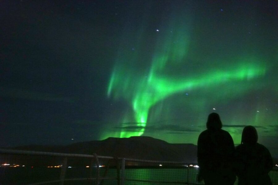 From Reykjavik: Whales and Northern Lights Boat Tour - Who this tour fits best (and who should think twice)