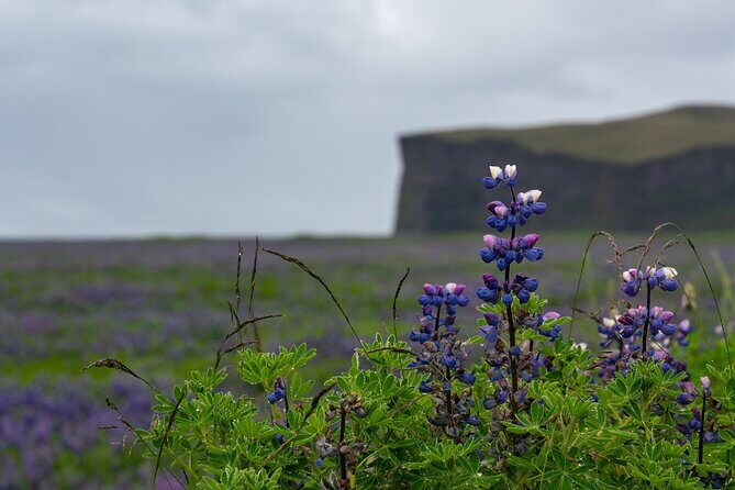 Full-Day Private Tour to Explore South Coast of Iceland - Quick hits for your South Coast private day