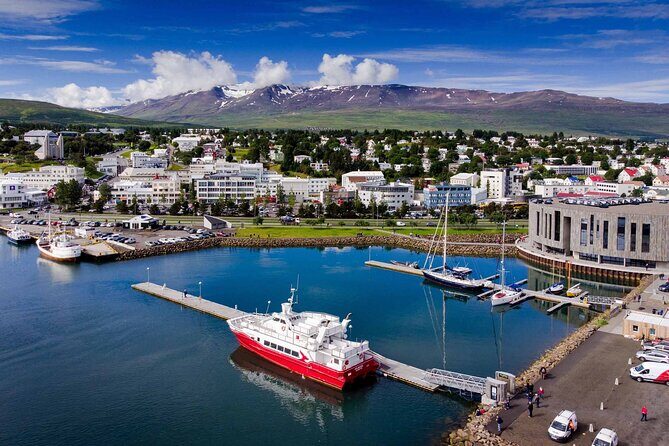 Goðafoss Waterfall & Forest Lagoon from Akureyri Port - Getting from Akureyri Port without losing your day