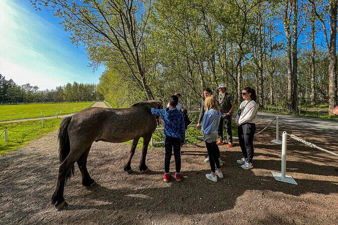 Golden Circle and Lunch at Fridheimar Tomato Farm - with photos - Price and value: what your $255 is really covering