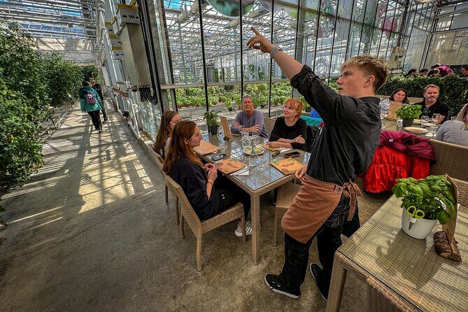 Golden Circle and Lunch at Fridheimar Tomato Farm - with photos - Reykjavik pickup, timing, and how the day flows