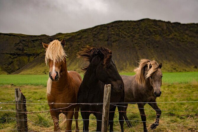 Golden Circle Cruise Arrival: Exclusive Small Group Tour - Reykjavik Cruise-Port Start: Timing That Respects Your Arrival