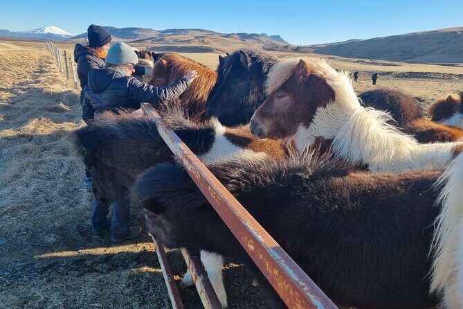Golden Circle Experience - Private Eco Tour - Gullfoss Waterfall: The Views, Plus the Human Story