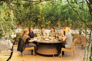 Golden Circle, Fridheimar Farm & Horses Small Group Tour from Reykjavik - Friðheimar Farm: the greenhouse visit and horse show that make this tour feel different
