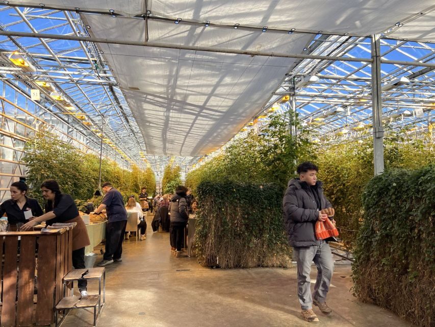 Golden circle, hot spring bakery, tomato farm private tour - Price and value for a private group up to four