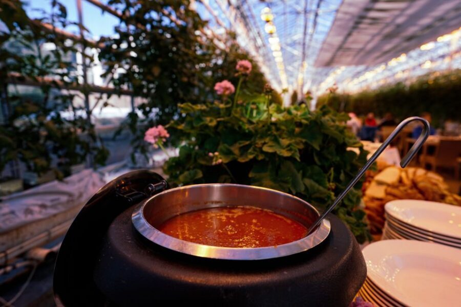 Golden Circle & Lunch at Fridheimar Tomato Farm- with photos - Golden Circle & Friðheimar Tomato Farm: A 7-hour plan that actually makes sense