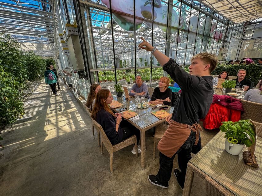 Golden Circle & Lunch at Fridheimar Tomato Farm- with photos - Who should book Golden Circle & Friðheimar?