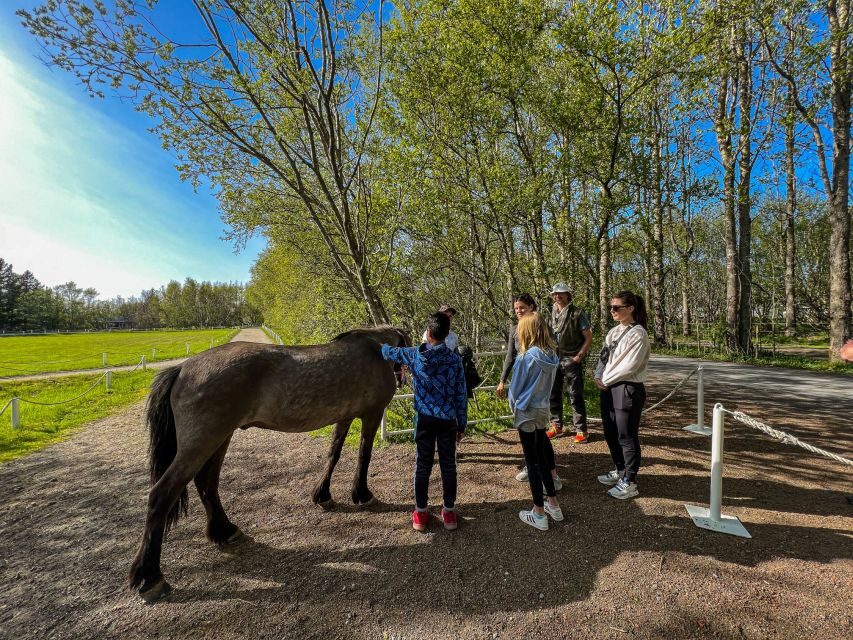 Golden Circle & Lunch at Fridheimar Tomato Farm- with photos - What to pack (and what not to): The stuff that saves your day
