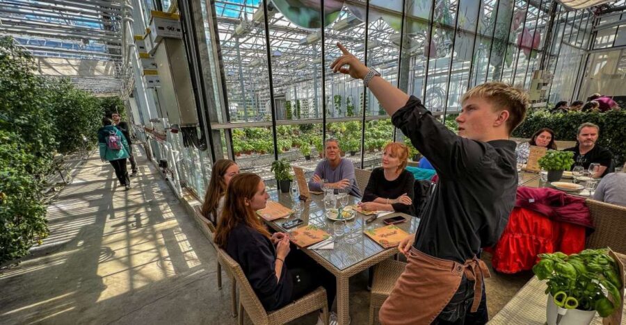 Golden Circle & Lunch at Fridheimar Tomato Farm- with photos - Is this tour good value for $180?