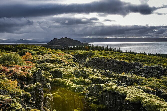 Golden Circle, Secret Lagoon & Friðheimar (Small Group) - What to bring (and how to make the day easier)