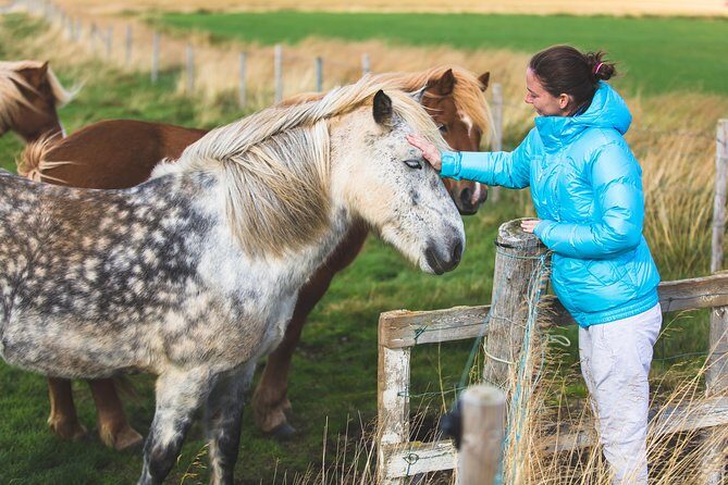 Golden Circle & Viking Horse Experience - Þingvellir National Park: Walking the Lava Canyon (and Why It Can Be Dark)