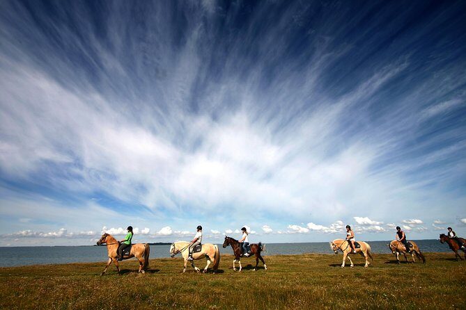 Golden Circle & Viking Horse Experience - From Wheels to Hooves: What the Horse Riding Portion Is Like