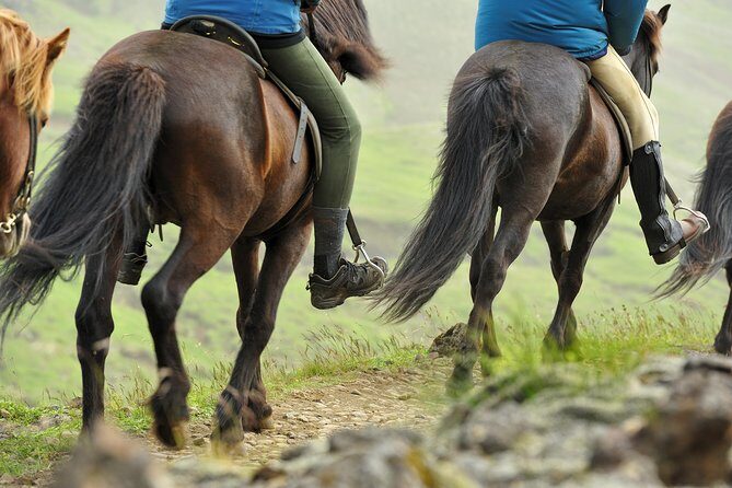 Golden Circle & Viking Horse Experience - Meeting Reykjavik Terminal at 8:00: The Easiest Way to Avoid Stress