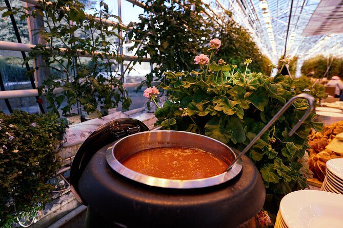 Golden Circle with Tomato Farm Lunch & Secret Lagoon Bathing - Þingvellir National Park: A Guided Walk Between Plates