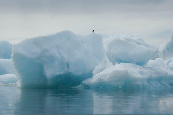Guided Glacier Lagoon and Diamond Beach Day Trip from Reykjavik - Freysnes Lunch Break and the Drive Through Skaftafell