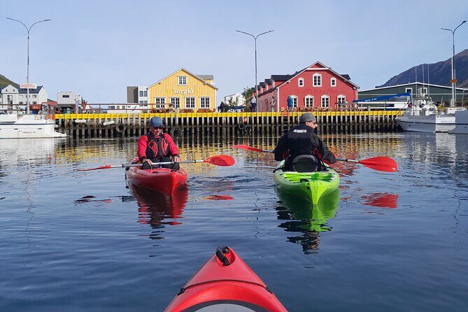 Guided kayak tour in Siglufjörður / Siglufjordur. - Key highlights worth your attention