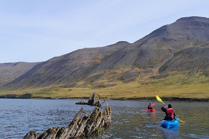 Guided kayak tour in Siglufjörður / Siglufjordur. - The Gear Setup That Makes or Breaks a Cold-Water Kayak Tour