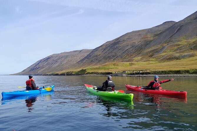 Guided kayak tour in Siglufjörður / Siglufjordur. - Price and Value: What You’re Really Paying For