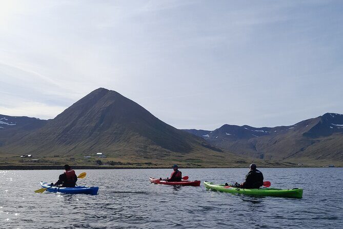 Guided kayak tour in Siglufjörður / Siglufjordur. - A Simple Lesson Before You Paddle the Fjord