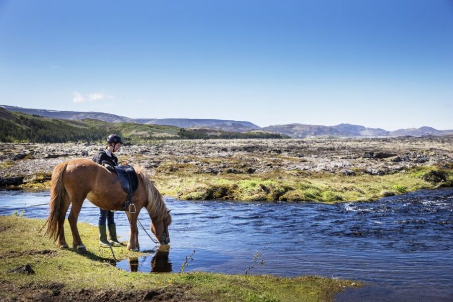 Hafnarfjörður: Horseback Riding Tour in Reykjavik Area - Key points before you go