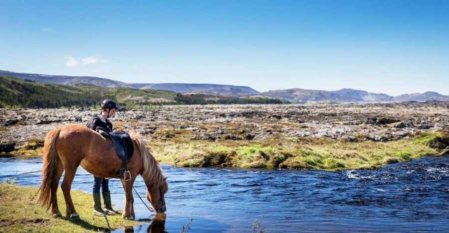 Hafnarfjörður: Horseback Riding Tour in Reykjavik Area - A 50-Minute Hack Through Lava Fields and Bláfjöll Views