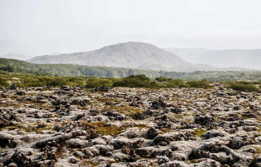 Hafnarfjörður: Horseback Riding Tour in Reykjavik Area - Pace and What You Might Notice About Gaits