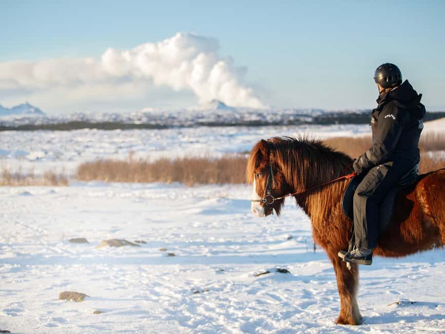 Hafnarfjörður: Horseback Riding Tour in Reykjavik Area - Price and Value: Does $132 Make Sense?