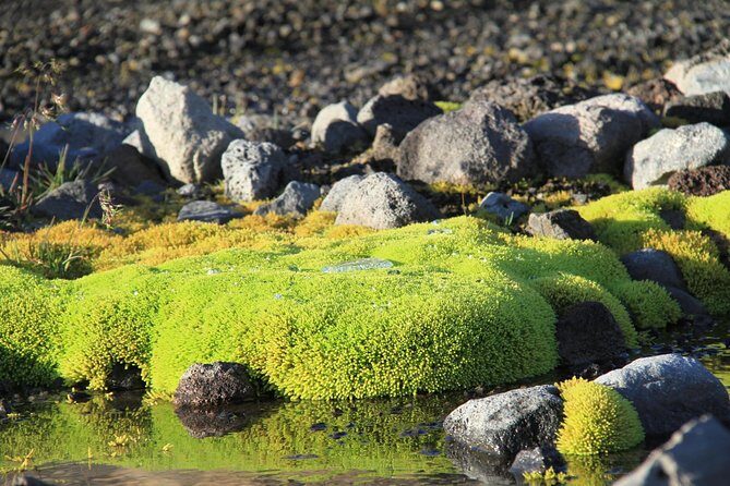 Highlights of Iceland / private guided super Jeep tour - Hvalfjörður Fjord Return: Why the Drive Home Can Be Part of the Show