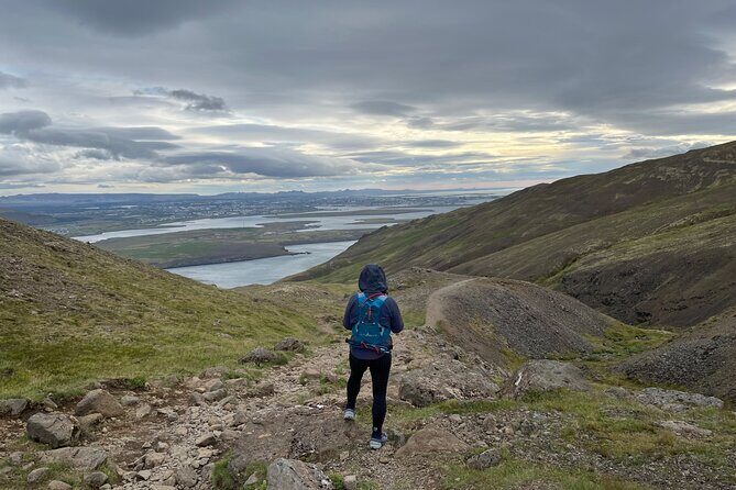 Hike to Mt Esja - Your guide Magnus, plus Lisa the lab, and the occasional Helgir